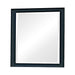 Sandy Beach Vertical Dresser Mirror Black image