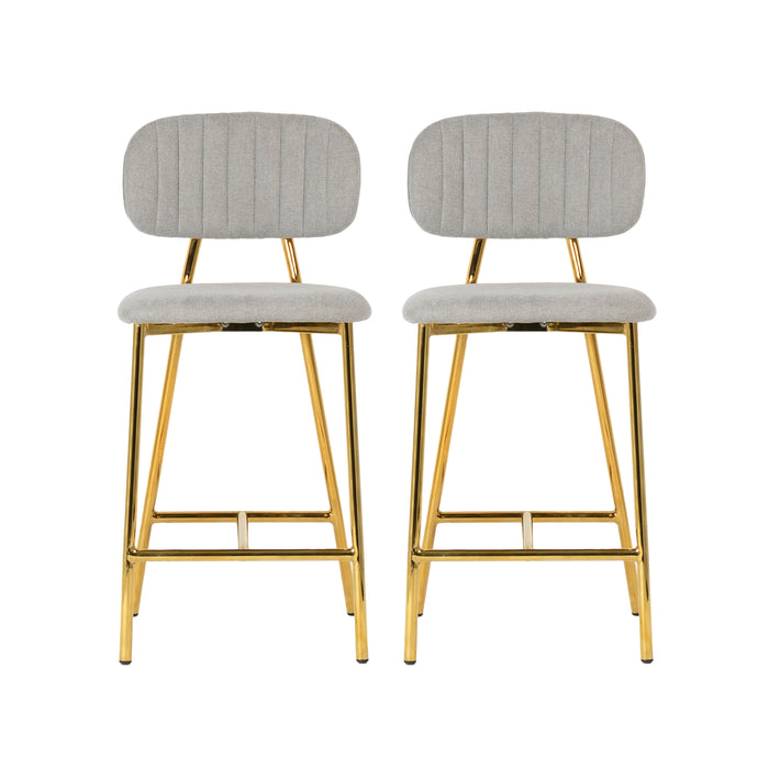 Ariana Grey Counter Stool Set of 2 image