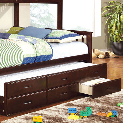 UNIVERSITY Dark Walnut Trundle w/ 3 Drawers image